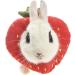 Buy Fladorepet Rabbit Protection Cone Elizabethan Neck Collars & Hasentoast Avocado Costume for Small Pets - Perfect for Recovery & Fun! - Buy Online on GoSupps.com