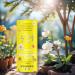 All Natural F.A.B. Deodorant - Sunkissed Apricot | Organic Aluminum-Free Deodorant for FUPA Armpit & Breast Areas - 1.7 oz - Buy Online on GoSupps.com