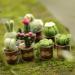 KISSBUTY Needle Felting Kit for Adults & Beginners - Complete Cactus Wool Set with Roving, Foam Mat, Glass Pots, Needles & Finger Guards - Buy Online on GoSupps.com
