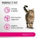 PERFECT FIT Adult 1+ Adult Cat Food - Meets the Specific Needs of a Sterilized Cat - High Chicken Food - 2.8kg (Pack of 3) - Buy Online on GoSupps.com