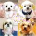 Pet Hair Clips 24PCS Cat Dog Hair Bows Clips Pet Cat Puppy Hair Accessories Dog Grooming Clips Metal Bow Knot Dots Pet Hair Clips Handmade Cute Patterns Topknot for Dog Cats Puppy - Buy Online on GoSupps.com