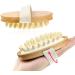 Natural Wooden Body Brush for Cellulite, Lymphatic Circulation, and Exfoliation | Dry Brush for Exfoliating and Shower Spa | Bath Brush for Smooth Skin - Buy Online on GoSupps.com