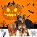 Vivifying Bat Wing Dog Costume - Adjustable Halloween Bat Wing with Pumpkin Bell for Pets (Neck: 12.6-20.5 Breast: 13.5-24.4) - Buy Online on GoSupps.com