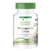 Fairvital | Ashwagandha Extract - extra strong - with 1000mg of Ashwagandha per daily dose - Indian Ginseng - VEGAN - 90 capsules