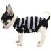 Lovely LOPHIPETS 100% Cotton Striped Dog Shirt-Black & Gray Stripes, XXS for Chihuahua & Small Dogs (0.5-1.2 lbs) - Buy Online on GoSupps.com