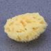 FOMIYES Natural Bath Shower Sponge - Honeycomb Loufah & Face Scrubber for Baby & Body - Eco-Friendly Disposable Sponges for All Skin Types - Buy Online on GoSupps.com