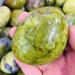 Home Decor 380g Natural Crystal Opal Palmetto Stone Gifts Natural Crystal Draw yuebang Reiki Crystal Stone - Buy Online on GoSupps.com