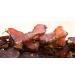 Biltong Depot Traditional Beef Biltong 1lb - Paleo & Keto Friendly, No Preservatives, No MSG, Gluten, or Nitrates - Buy Online on GoSupps.com