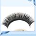 Volume Auto Fan False Eyelashes | Nanometer PBT Material | 12 Rows | Black for All Skill Levels | 0.03D | 0.3-0.6in Mix | Perfect for Beauty Salons - Buy Online on GoSupps.com
