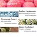Buy FARMSTAY Real Essence Lychee Mask - 10 Sheets | Best Korean Skin Care Sheet Mask for Hydration - Buy Online on GoSupps.com
