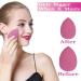 Makeup Sponge Set Face Beauty Make Up Sponges Blender 8-Pack - Buy Online on GoSupps.com