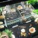Hamiledyi Aquarium Breeding Isolation Box - Acrylic Fish Tank Hatchery Divider for Guppy, Shrimp, Clownfish & More - Buy Online on GoSupps.com