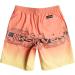 Quiksilver Boys Everyday Wordblock VL YTH 16 Boardshorts - Fresh Salmon 14 Years - International Shipping Available - Buy Online on GoSupps.com