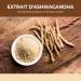  BANDINI Bandini Ashwagandha KSM-66 Complex with Rhodiola Rosea Zinc Vitamins E and B6 Withania Somnifera High Dosed 60 Vegan Capsules Natural Dietary Supplement No Additives - Buy Online on GoSupps.com