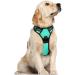 Rabbitgoo dog harness medium -sized dogs anti train crockery dog with control no pull adjustable dog dishes large dogs breathable reflex stripes breast harness dog safe guide green l l (1 Pack) mint green