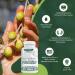 East Park Olive Leaf Extract 500mg Super Strength d-Lenolate | Immune System Booster with 18% Oleuropein | 180 Vegetarian Capsules (Non-GMO) - Buy Online on GoSupps.com