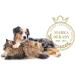 Vetfood Barfeed Taurine 150g - Supplement for Dogs & Cats | Supports Healthy Heart & Neurological System - Buy Online on GoSupps.com