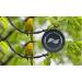 Bushnell H2O Waterproof/Fogproof Compact Roof Prism Binocular Black  8x25mm Binocular - Buy Online on GoSupps.com