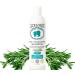 LiceLogic Head Lice Prevention Shampoo Made with Natural LICEZYME | Non Toxic Formula for Kids Safe for Daily Use | Repels Super Lice, Eggs and Nits Naturally with No Harsh Chemicals | 8 oz Mint Rosemary Mint