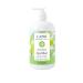 CAPRI ESSENTIALS Hand Soap Liquid Natural Household Cleaning Supplies Gentle Plant Based Aromatic Hand Wash with a Blend of Essential Oils Removes Dirt & Grime Sweet Basil Scent 16 FL Oz 23 Fl Oz (Pack of 1)