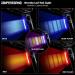 Don Peregrino B2 Bike Tail Light - 110 Lumens High Brightness Red/Blue Rear Bike Light - Buy Online on GoSupps.com