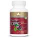 OPC Premium Dr.med.Michalzik - 450mg grape seed extract - 240mg pure OPC - 100mg vitamin C per daily dose - made from French grape seeds by Biotikon