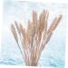 Cabilock Natural Dried Flowers 30 Pcs Natural Artificial Flower Decorative Artificial Flower As Shownx2pcs mediumx2pcs - Buy Online on GoSupps.com