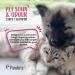 Pawbits Pet Stain and Odour Carpet Shampoo 1L Super Concentrated - Lemon Scented Carpet and Upholstery Cleaner with Odour Neutraliser - Removes Cat Dog or Puppy Urine/Waste Smells Cruelty Free 1 l (Pack of 1) - Buy Online on GoSupps.com