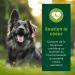 EQUILIBRE & INSTINCT - Adult Dog - Duck Wet Food Pate - Optimal Digestive Transit - Complete Recipe Formulated with Veterinarians - 9x300g - Made in France - Buy Online on GoSupps.com