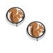 (Cartoon Squirrel) Round Pill Box 3 Compartment Pill Box Mini Decorative Pocket Purse Portable Travel Medicine Tablet Vitamin Holder Organizer Pill Case