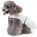 Qcwwy Princess Dress for Dogs & Cats - Mesh Summer Dress Comfortable & Breathable Polyester Fabric (L) - Buy Online on GoSupps.com