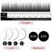 Buy 5 Trays 1 Second Blossom Eyelash Extensions Set | Easy Make Fans C Curl 10-14mm | 0.05mm Thickness | International Shipping - Buy Online on GoSupps.com