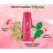 Gentle Vagina Wash - Natural pH Balance Feminine Wash 75ml with Chamomile and Licorice - Buy Online on GoSupps.com