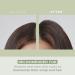 AMOS PROFESSIONAL Green Tea Hair Mask 8.45 oz | Nourishing Korean Hair Growth Treatment - Buy Online on GoSupps.com