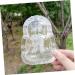 Operitacx 2pcs Vegetable Shaping Vegetables Ginseng Fruit Molds Garden Supply Watermelon Computer Transparent 10x7cm - Buy Online on GoSupps.com