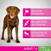 Mars Dog Adult 1 + M/L | 1.4 kg Dry Dog Food - Buy Online on GoSupps.com