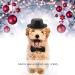 2pcs Dog Top Hat and Bow Tie Costume for Dog Cats Pet Bowtie Hat Set Funny Pet Accessories Party Birthday Wedding Costume - Buy Online on GoSupps.com