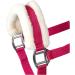 RL24 Halter with Plush Padding - BASICLINE in 6 Colors for Shetland Pony Thoroughbred & Warmblood - Magenta Pony - Buy Online on GoSupps.com