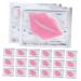 Outanaya 20pcs Korean Lip Exfoliator Peel Off Lip Masks Caring Gel Pads for Women Random Style