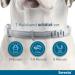 Buy Seresto Elanco Collar for Small Dogs | 7-8 Months Flea & Tick Protection | 36 cm Up to 8 kg - Buy Online on GoSupps.com
