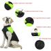 Buy Femax Waterproof Dog Coat - Warm Winter Jacket for Small to Large Dogs | Padded Pet Clothing for Cold Weather (Green Size M) - Buy Online on GoSupps.com