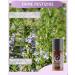 Organic Rosemary Oil Essential Oil (Cineol) - 10ml - Pure Spanish Rosemary for Biologically Cultivated Wellness - Buy Online on GoSupps.com