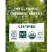 Alter Eco Dark Chocolate Bars - Pure Dark Cocoa | Fair Trade Organic | Non-GMO & Gluten-Free | 2-Pack Dark Quinoa Crunch - Buy Online on GoSupps.com