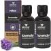 AKSHAR Ayurveda Organic Lavender Essential Oil Organic (0.5 fl oz/15ml 2 Pack) Therapeutic Grade 100% Pure Lavender Oil for Relaxation Aromatherapy Skin Care Massage & DIY Projects