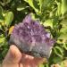 Specimen 142g Natural Dream Amethyst Quartz Crystal Cluster Specimen - Buy Online on GoSupps.com