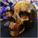 Natural Stones Natural Crystal 67 mm Natural Crystal Skull Gemstone Ghost Head Carved Crystal Jewelry Tiger Eye Stone Specimen Carved Skull Gift Power Stone Crystal Natural Stones ningxiao - Buy Online on GoSupps.com