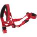 Dog Handlebar Halter with Seat Belt - XL Red Pet Harness Prevents Pulling on Outdoor Walks - Buy Online on GoSupps.com