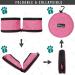 PetAmi Collapsible Dog Bowls - 2 Pack Travel Water & Food Bowls for Pets - Portable, Foldable & Lightweight - Pink - Buy Online on GoSupps.com