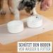 KARALUNA Basic Silicone Underlay 60x40 cm | Transparent Non-Slip Pet Feeding Mat for Dogs & Cats - Buy Online on GoSupps.com