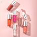 Buy Lip Plumping Oil & Hydrating Clear Lip Gloss - Tinted Lip Balm & Nourishing Lip Care (#05 Smoke Gray Pink) | International Shipping - Enhance Your Smile - Buy Online on GoSupps.com